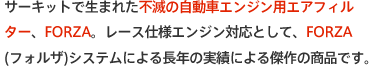 サーキットで生まれた不滅の自動車エンジン用エアフィルター、FORZA。レース仕様エンジン対応として、FORZA(フォルザ)システムによる長年の実績による傑作の商品です。